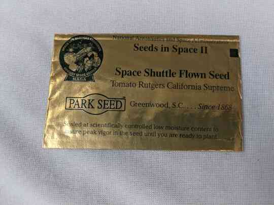 item thumbnail for Seeds In Space - Flown STS-86 Tomato Seeds