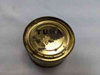 Can: Tuna (larger text) Can: Tuna (larger text)