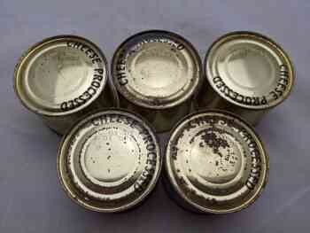 Processed Cheese (x5) (10 Man Compo Ration Components) Processed Cheese (x5) (10 Man Compo Ration Components)